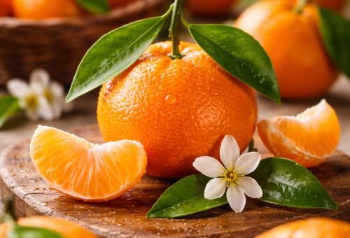 קלמנטינה (צילום: AI)