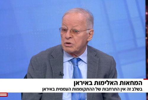 אהוד יערי, מהדורת חדשות 12 (צילום: צילום מסך חדשות 12)