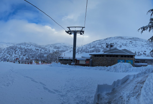 שלג באתר החרמון, חורף 2026 (צילום: אתר החרמון)