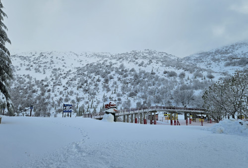 שלג באתר החרמון, חורף 2026 (צילום: אתר החרמון)