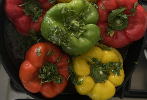 פלפלים ממולאים (צילום: פסקל פרץ-רובין,פסקל פרץ רובין, אנטולי מיכאלו, מתוך הספר "העוגות של פסקל")