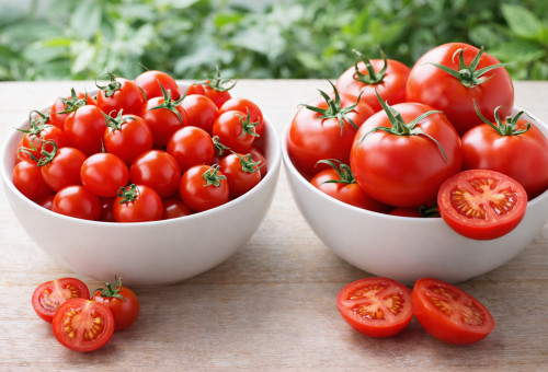 עגבניות שרי ורגילות (צילום: AI)