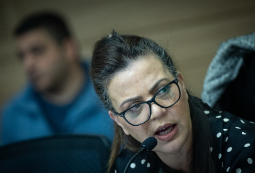 גלית דיסטל אטבריאן (צילום: יונתן זינדל, פלאש 90)