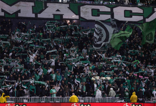 אוהדי מכבי חיפה (צילום: מאור אלקסלסי)