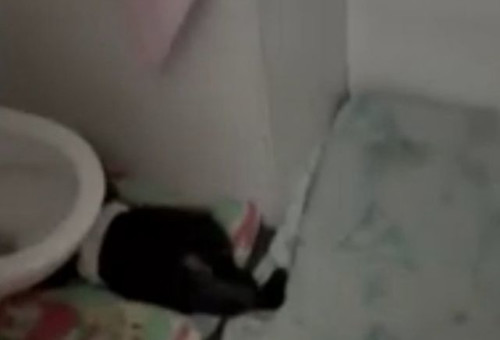 פעוט ישן על הרצפה בשירותים בפעוטון בירושלים (צילום: שימוש לפי סעיף 27א')