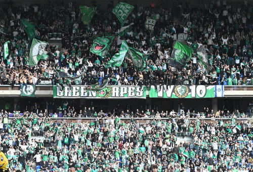 אוהדי מכבי חיפה (צילום: ברני ארדוב)