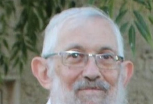 פרופ' בנימין וייס (צילום: צילום מסך)