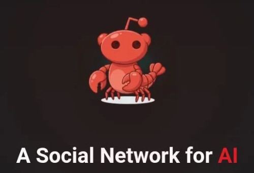 Moltbook (צילום: צילום מסך)