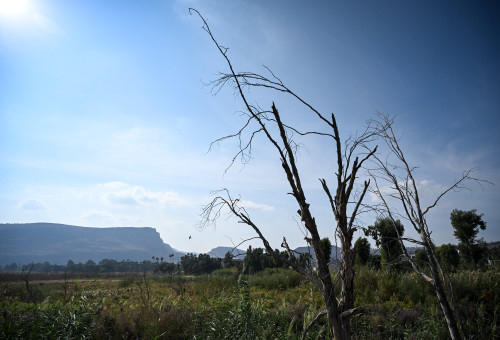 יום חמים (צילום: מיכאל גלעדי פלאש 90)