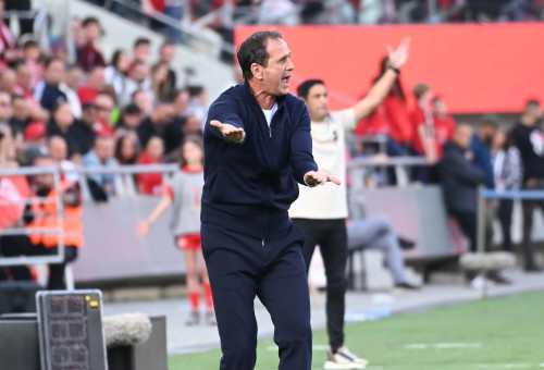 רוני לוי מאמן מכבי נתניה (צילום: ברני ארדוב)