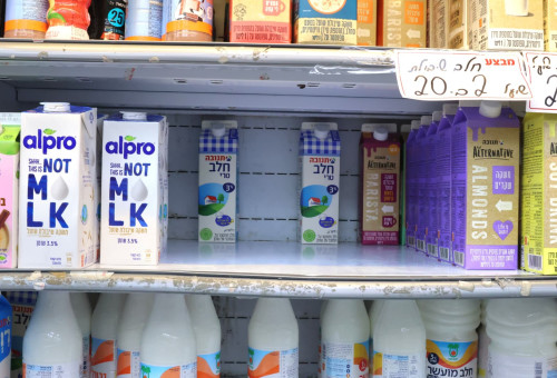 המחסור בחלב (צילום: מארק ישראל סלם)