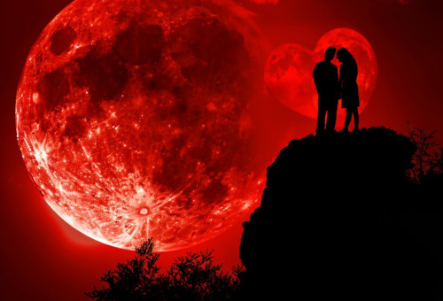 יום האהבה בפלנתניה (צילום: רועי דורון)