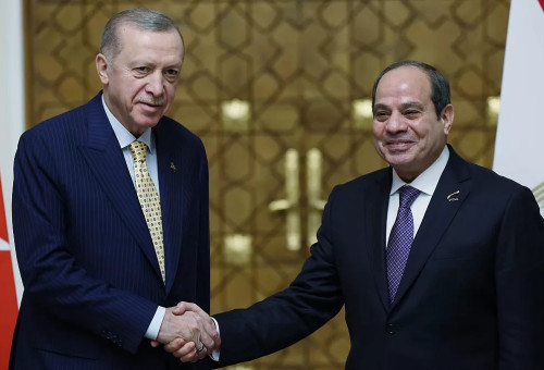 עבד אל-פתח א-סיסי, רג'פ טאיפ ארדואן (צילום: רשתות חברתיות, שימוש לפי סעיף 27 א')