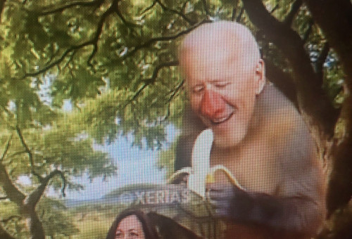 הסרטון של דונלד טראמפ נגד מתנגדיו  (צילום: שימוש לפי סעיף 27א')