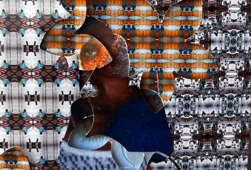 רחל אניו. אֵמֶרגֶנְטִיוּת, 2026 (צילום:  באדיבות האמנית)