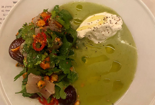 eso קרודו דג גספצ'ו מלפפון עשים ושמנת מתובלת (צילום: יוספה קמחי)