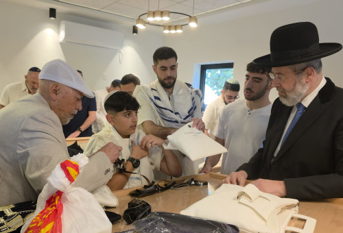 בר המצווה של בארי דוידביץ (צילום: ג'וש ארונסון)