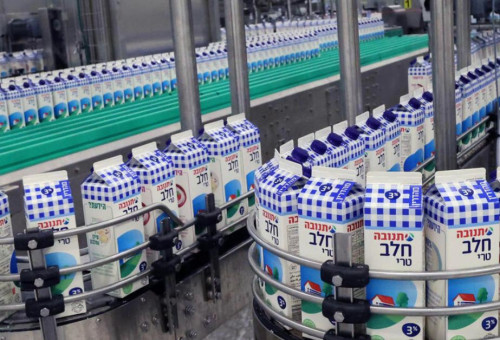קו ייצור של חלב מפוקח, תנובה (צילום: רפי דלויה)