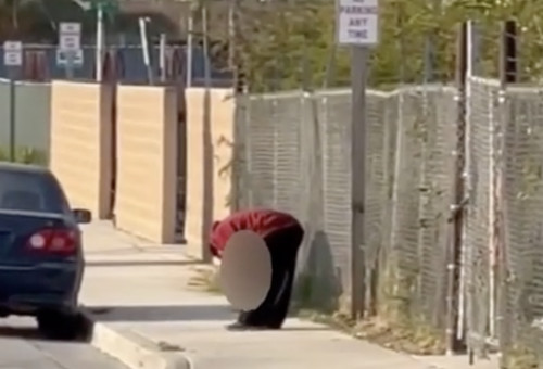 הצעיר והרגל (צילום: צילום מסך)