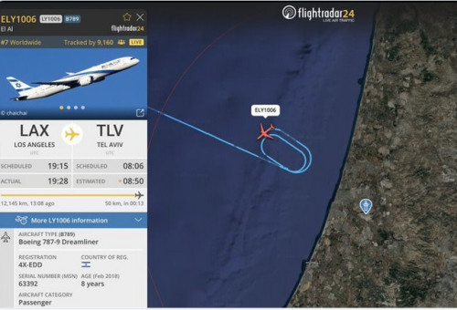 טיסת החילוץ של אל על (צילום: צילום מסך)