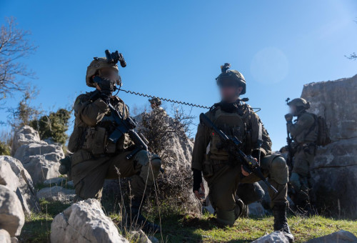כוחות צה"ל בלבנון - הר דב הלבנוני 2026 (צילום: דובר צה"ל)