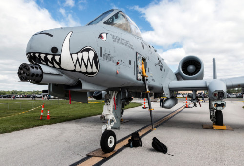 המטוס האימתני A10 (צילום: שאטרסטוק)