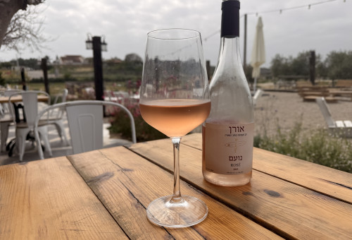 יקב אורן (צילום: מיטל שרעבי)