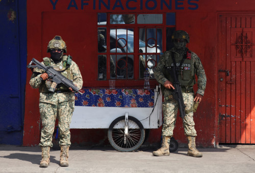 פעילות נגד קרטל הסמים במקסיקו (צילום: רויטרס)