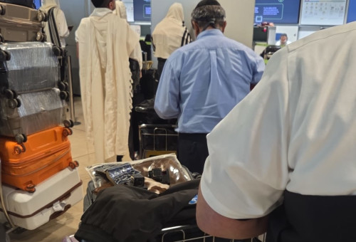 רכבת אווירית של שוחטים לישראל לקראת פסח (צילום: יח"צ)