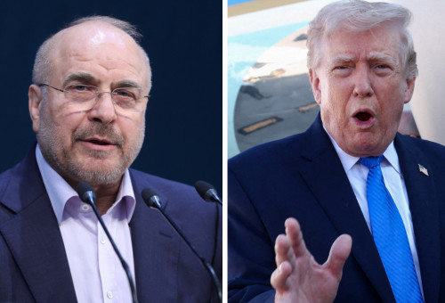 דונלד טראמפ,  מוחמד באקר קאליבאף (צילום: רויטרס)