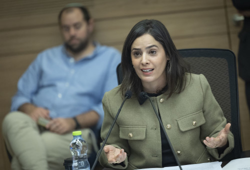 עדי עזוז (צילום: חיים גולדברג פלאש 90)