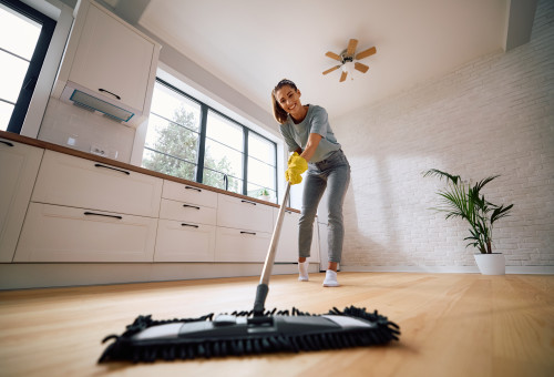 ניקוי פרקט (צילום: שאטרסטוק)