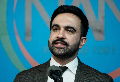 זוהרן ממדאני (צילום: REUTERS/Eduardo Munoz)