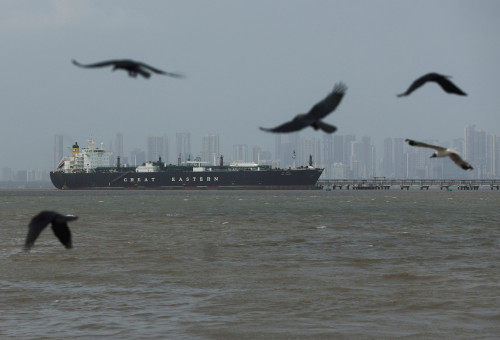 ספינת מכולות במצר הורמוז (צילום: רויטרס)