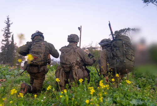 תיעוד הכוחות בלבנון (צילום: דובר צה"ל)