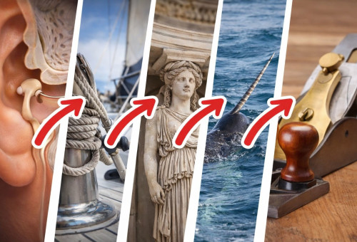 אתגר (צילום: AI)