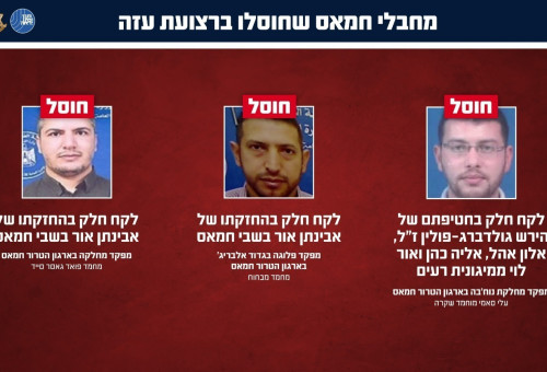 מחבלי חמאס שחוסלו ברצועת עזה (צילום: דובר צה"ל)