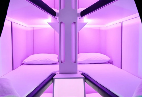 שירות חדש במחלקת עסקים  (צילום: אייר ניו זילנד)