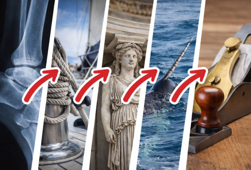 אתגר (צילום: AI)