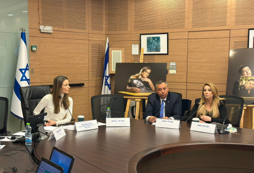 הוועדה לקידום מעמד האישה בדיון על משפחות חטופים חללים (צילום: ללא קרדיט)