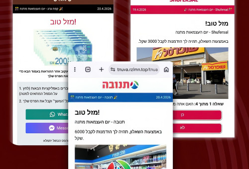 ניסיון פישינג (צילום: צילום מסך)