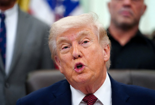 דונלד טראמפ (צילום: REUTERS/Nathan Howard/File Photo)