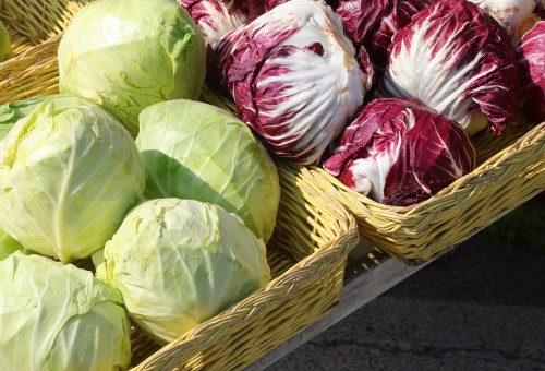 כרוב אדום וכרוב לבן (צילום: שאטרסטוק)