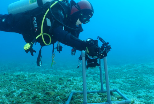 ניטור ים התיכון לשנת 2024 (צילום: גיא רענן, המכון לחקר ימים ואגמים לישראל)