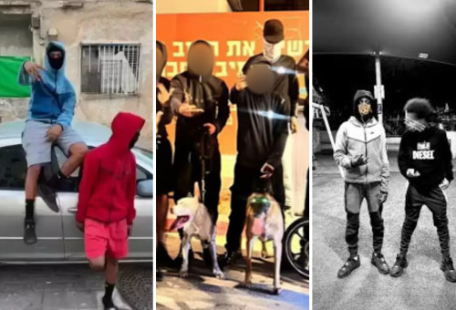 כנופיית SSQ (צילום: רשתות חברתיות)