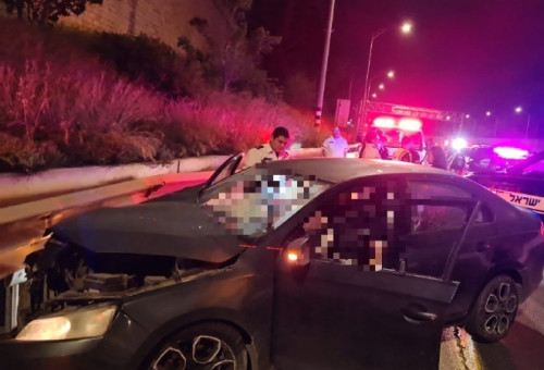 רצח כפול סמוך לרמלה (צילום: דוברות המשטרה)