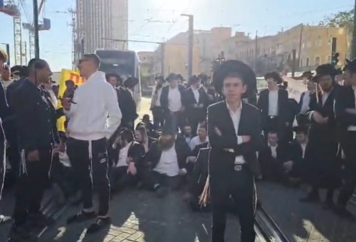 הפגנת חרדים קיצוניים בירושלים  (צילום: שימוש לפי סעיף 27א')