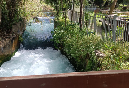 תל דן - אמדאן עיסא (צילום: רשות הטבע והגנים)