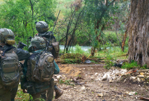 כוחות גולני במרחב הליטאני בלבנון  (צילום: דובר צה"ל)