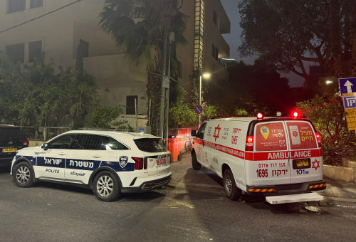 אמבולנס, ניידת משטרה (צילום: תיעוד מבצעי מד"א)